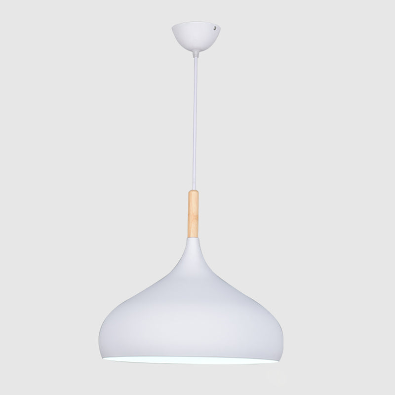 Kuppel Anhänger Beleuchtungsbestand