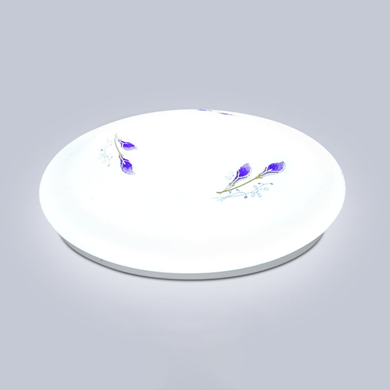 Modern Flush Mount Ceiling Light LED Lighting Indoor Foyer Bedroom Light