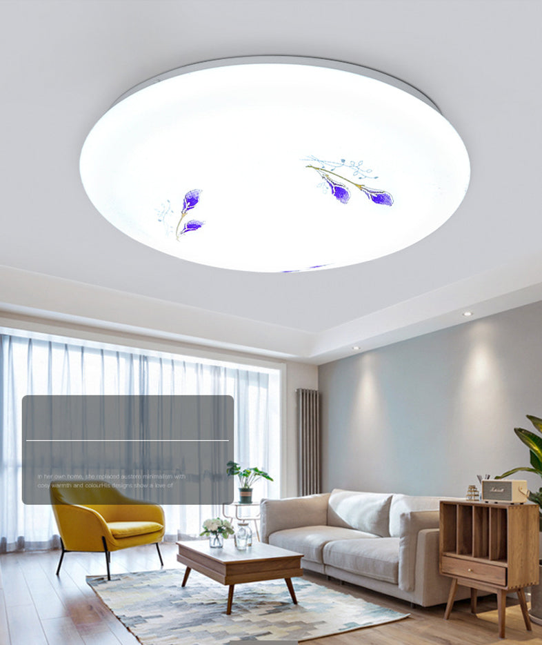 Modern Flush Mount Ceiling Light LED Lighting Indoor Foyer Bedroom Light