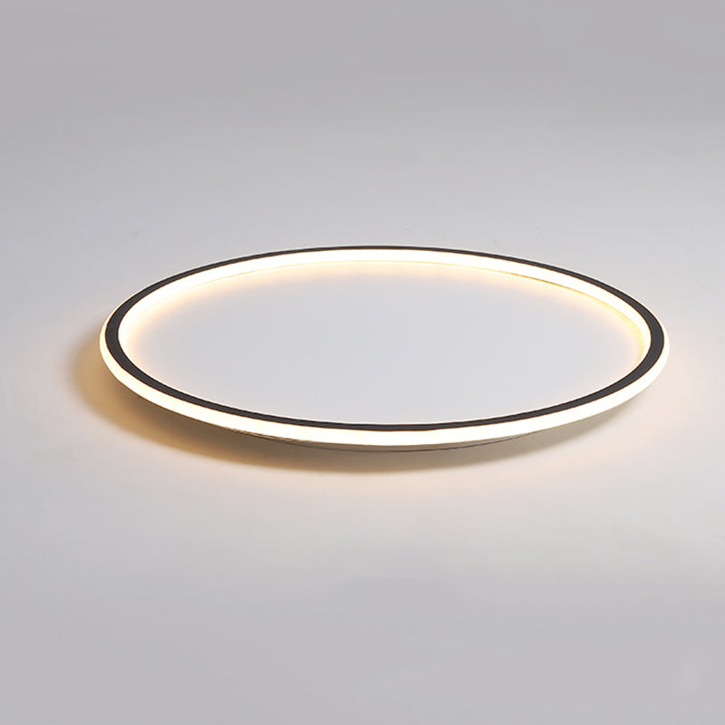 Modern Flush Mount Ceiling Light LED Lighting Circle Lighting Indoor Foyer Bedroom Shop Lighting