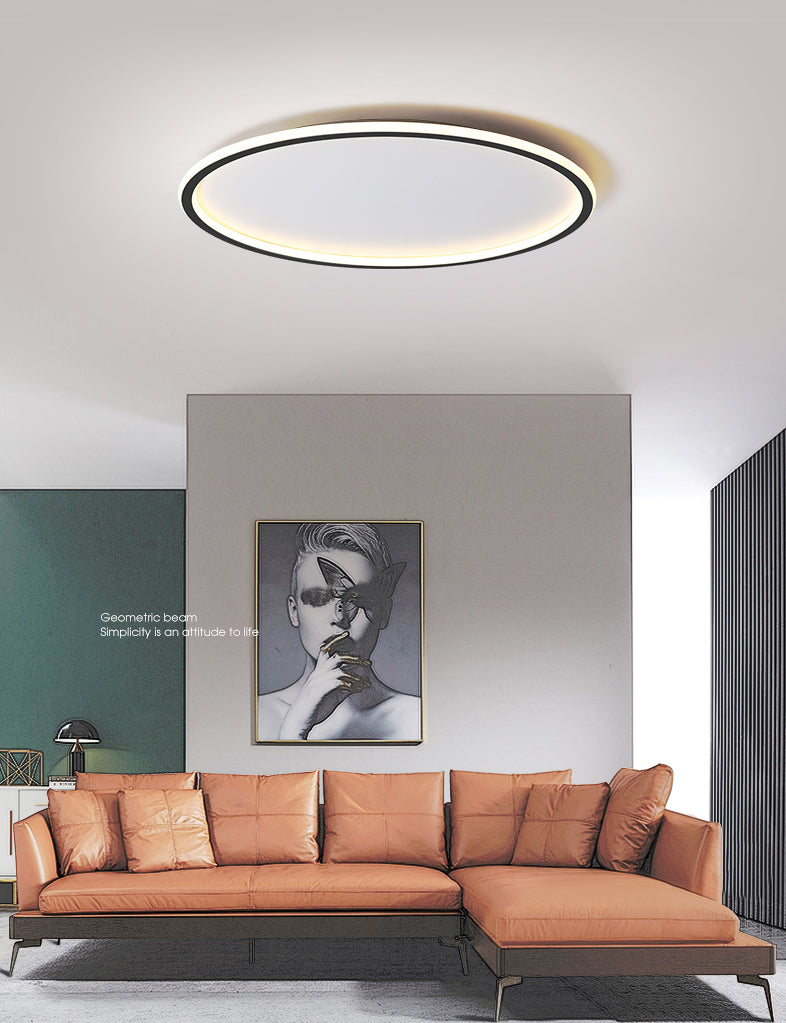 Modern Flush Mount Ceiling Light LED Lighting Circle Lighting Indoor Foyer Bedroom Shop Lighting