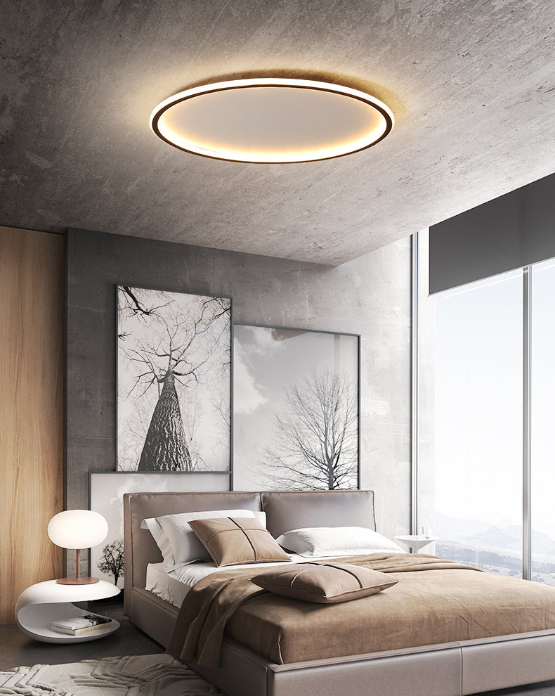 Modern Flush Mount Ceiling Light LED Lighting Circle Lighting Indoor Foyer Bedroom Shop Lighting