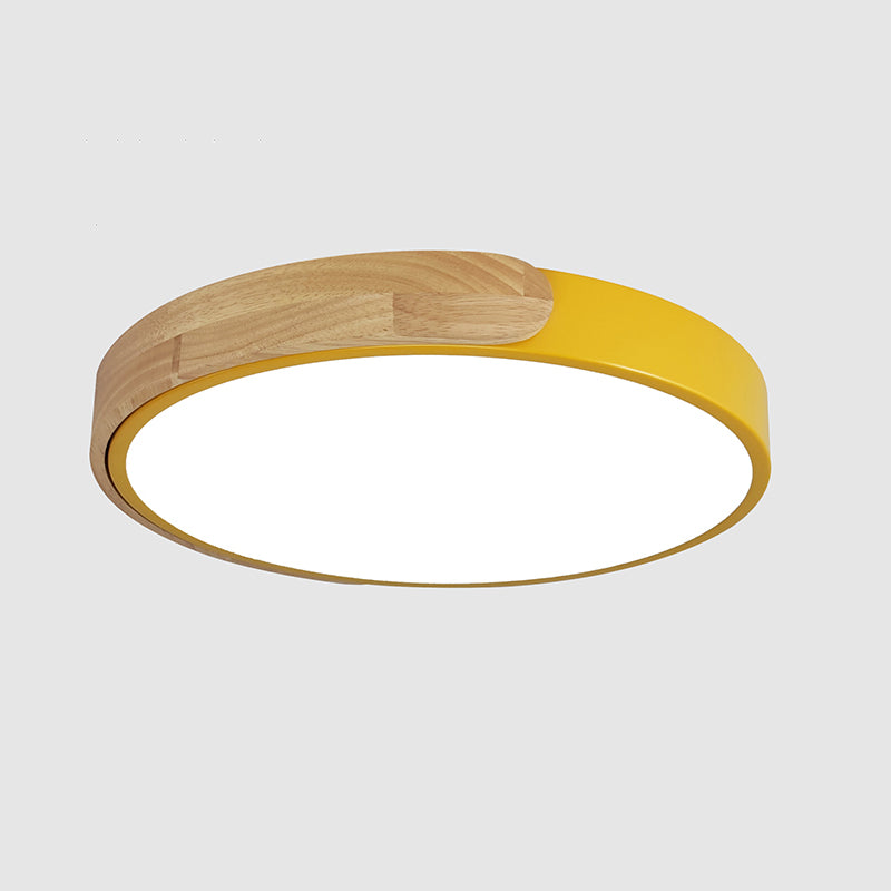 Rounded Shape 1-Light LED Flush Light New Modern Iron Flush Mount Ceiling Light Fixtures