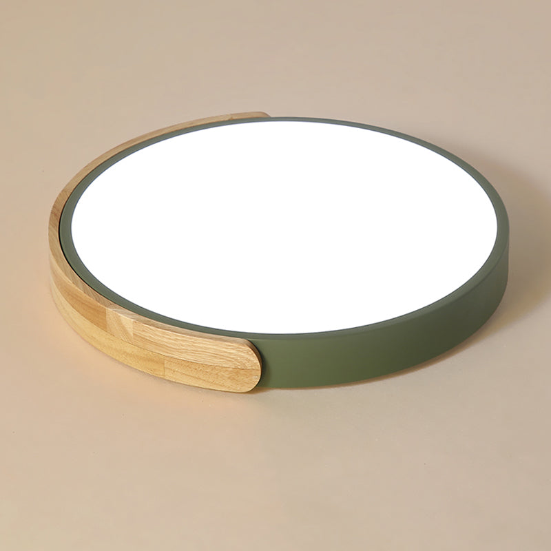 Rounded Shape 1-Light LED Flush Light New Modern Iron Flush Mount Ceiling Light Fixtures