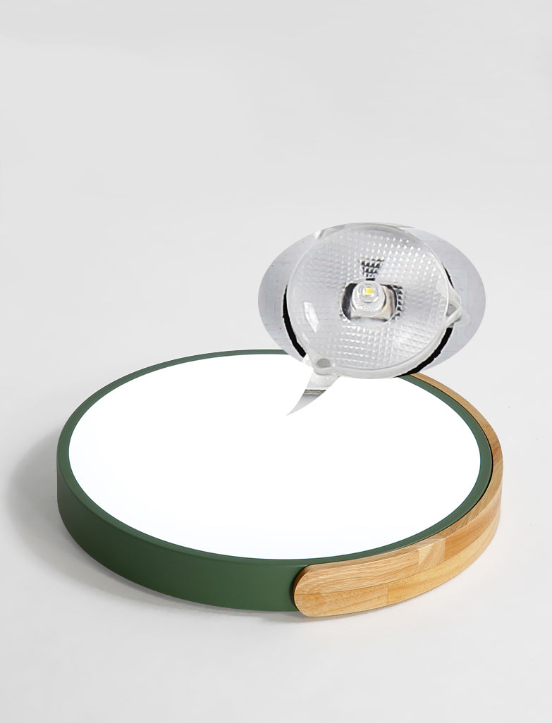 Rounded Shape 1-Light LED Flush Light New Modern Iron Flush Mount Ceiling Light Fixtures