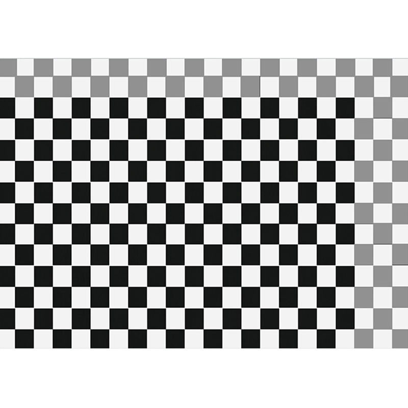 Multicolor Gingham Print Rug Polyester Carpet Trendy Anti-Slip Backing Indoor Rug for Living Room