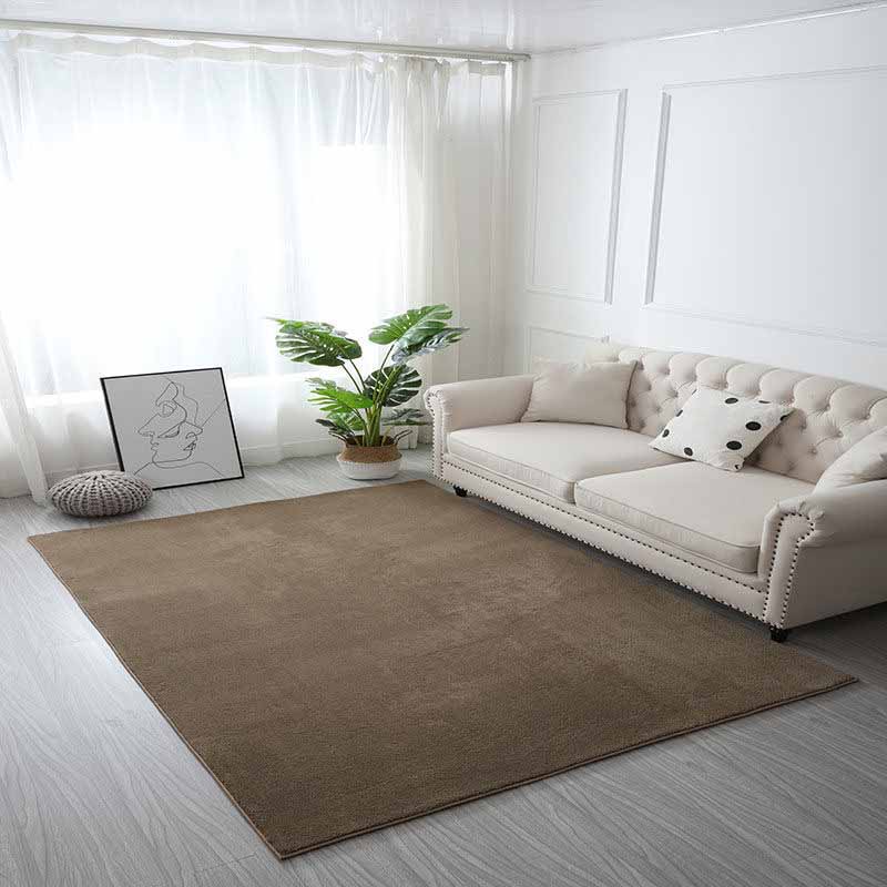 Simple Solid Color Carpet Brown Polyester Indoor Rug Anti-Split Area Rug for Indoor Room