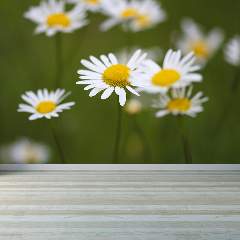 Contemporary Wall Mural for Bedroom Decor with Blossoming Flower Design