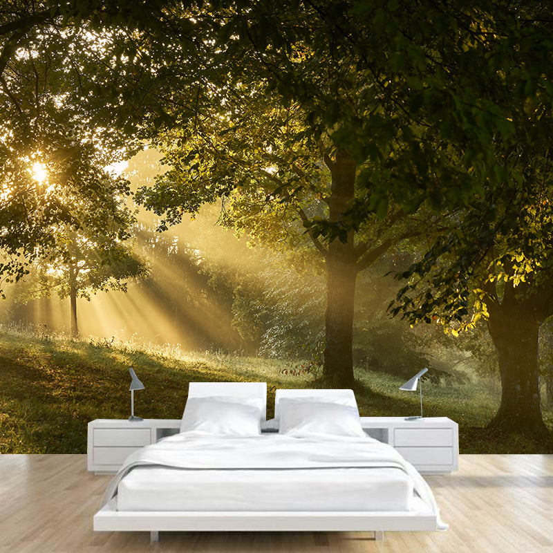 Forest Landscape Mural Wallpaper Home Decor Personalized Size Mural Wallpaper for Dining Room