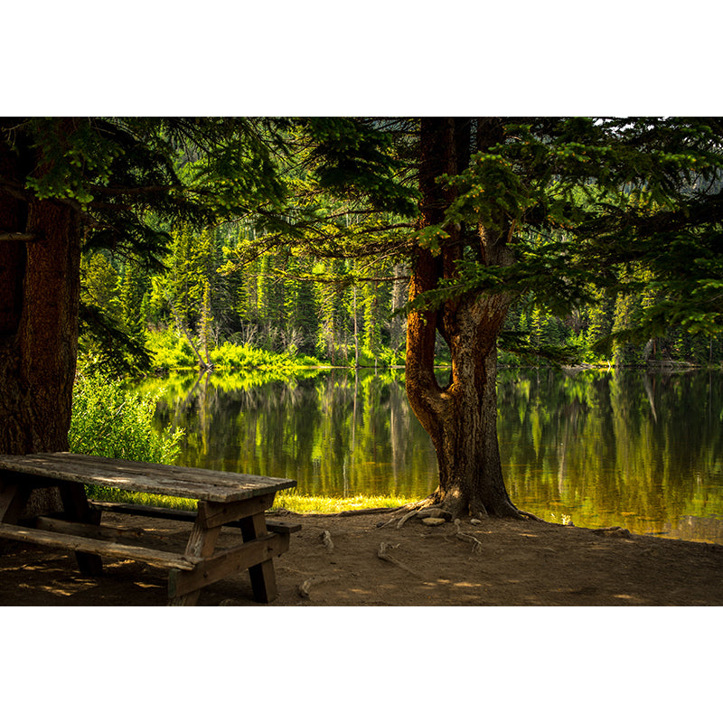 Deep Forest Design Mural Wall Decoration for Guest Room Water Resistant