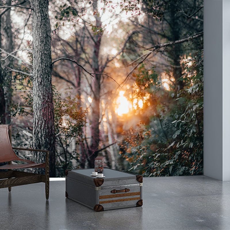 Misty Forest Scenery Wall Mural Modern Wall Decor in zachte kleuren voor Accent Wall