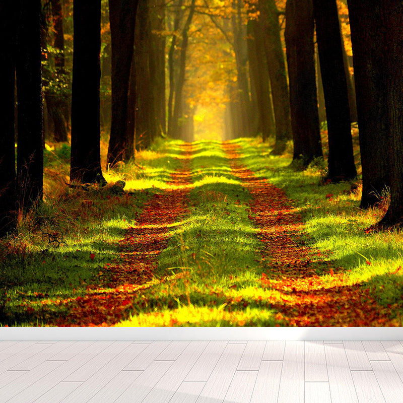 Stain Resistant Resistant Forest Murals Customized Fresh Wall Art for Living Room