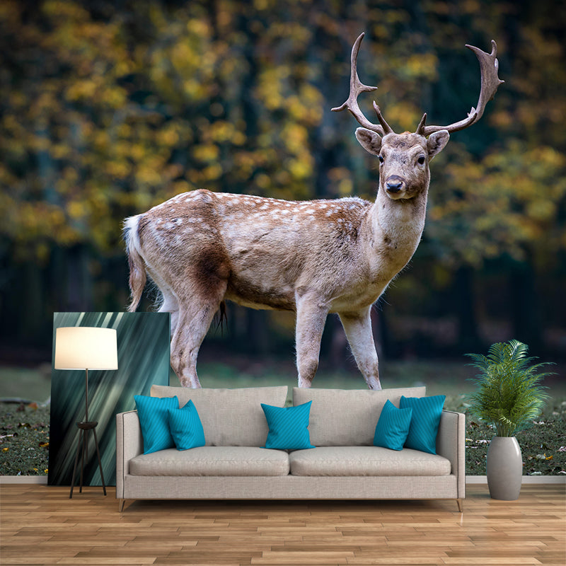 Photography Wall Mural Wild Animals Contemporary Wall Decor for Living Room