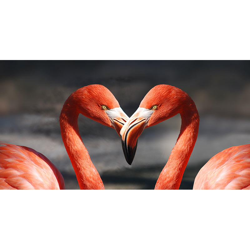 Contemporary Style Wild Animals Mural Photography Wallpaper for Living Room Decorative