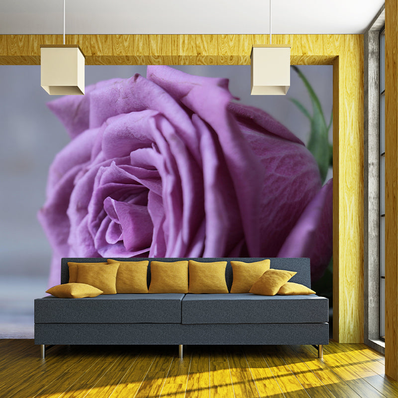 Contemporary Rose Wall Mural Mildew Resistant Soft Color Wall Art for Living Room