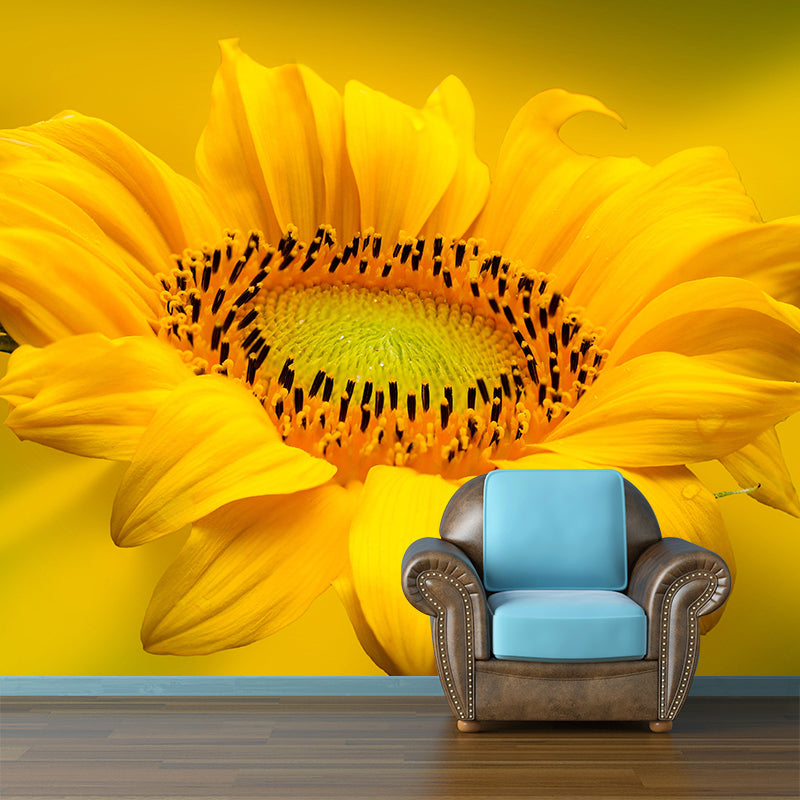 Sunflower Mural Contemporary Landscapes Scene Wall Decor for Decoration