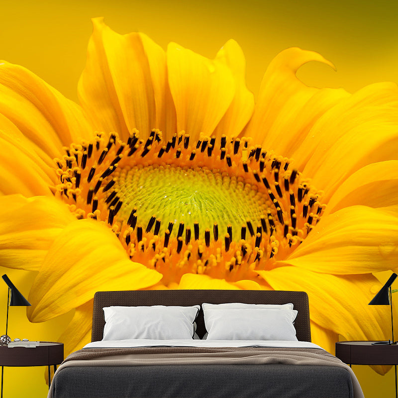 Sunflower Mural Contemporary Landscapes Scene Wall Decor for Decoration