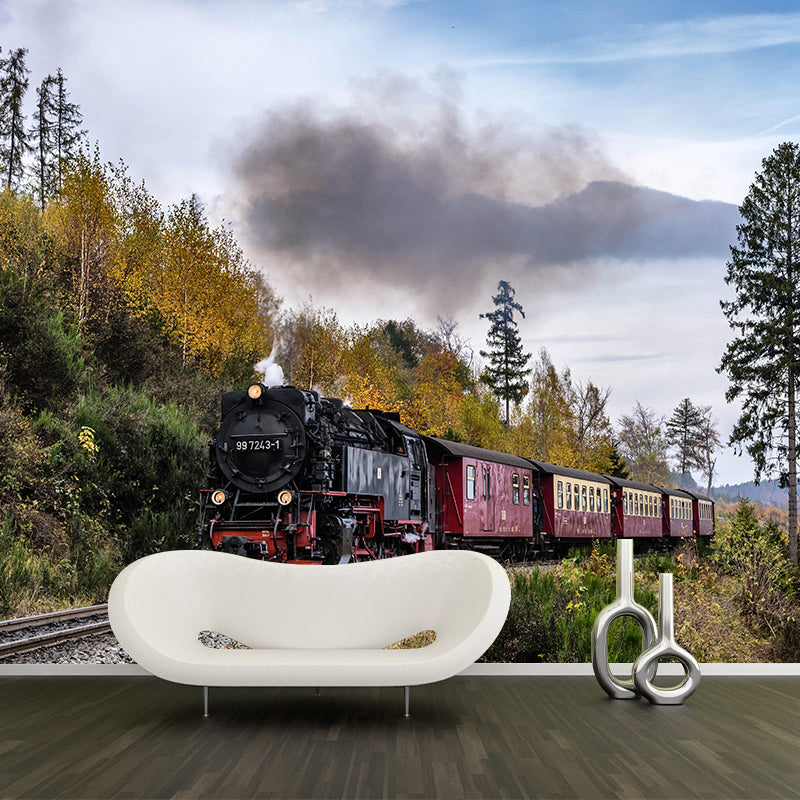 Photography Industrial Mural Decal with Train Landscape for Living Room