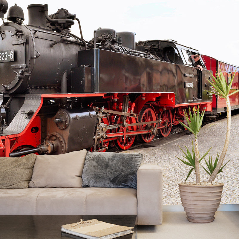 Photography Industrial Mural Decal with Train Landscape for Living Room