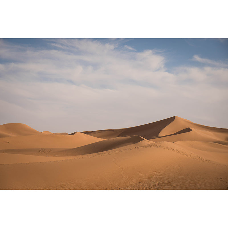 Modernism Big Desert Scenery Mural Wallpaper Stain Resistant Modern Interior Decoration