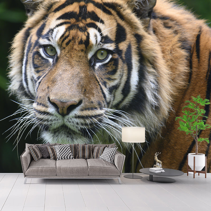Photography Tropical Tiger Mural Wall Decor Eco-friendly Wall Art for Decoration