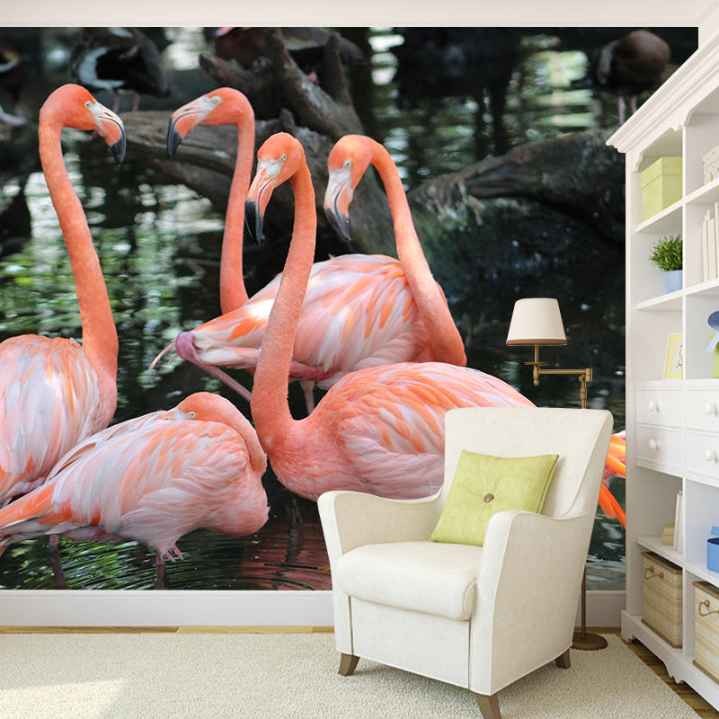 Tropical Flamingos Wall Mural Modern Decorative Living Room Wall Covering
