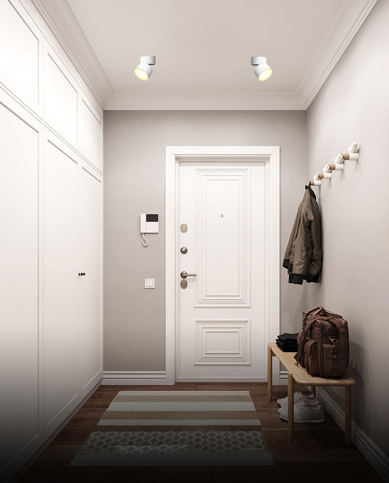 Cylinder Metal Ceiling Flush Mount Light Modern Style LED Ceiling Mounted Fixture