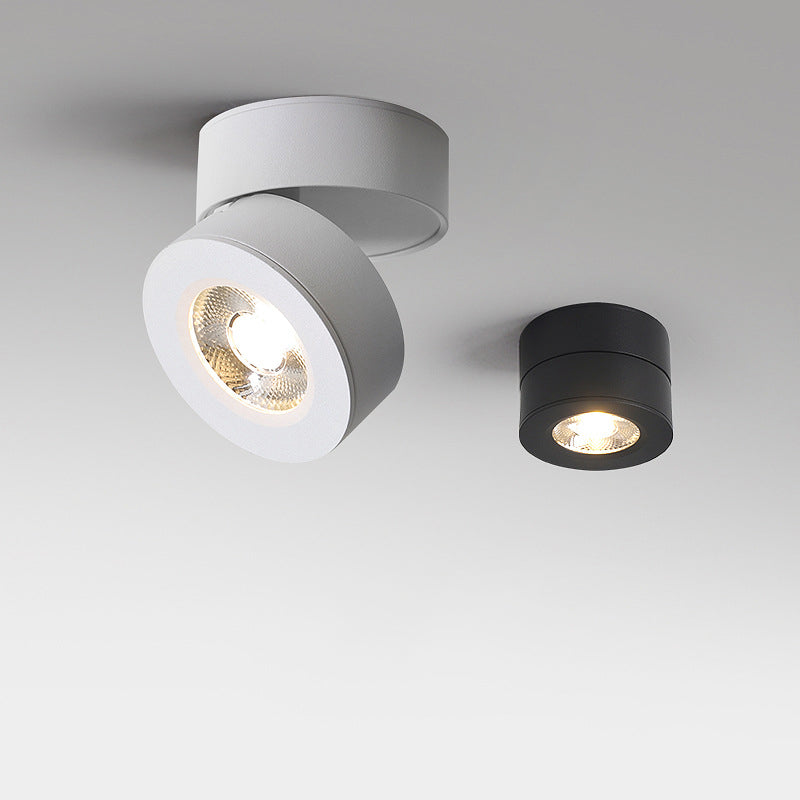 Modern Creative LED Rotatable Ceiling Light Aluminium Cylindrical Flush Mount with Clear Glass Shade