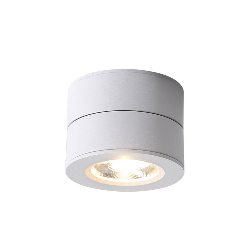 Modern Creative LED Rotatable Ceiling Light Aluminium Cylindrical Flush Mount with Clear Glass Shade