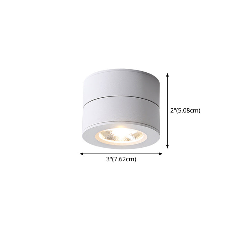 Modern Creative LED Rotatable Ceiling Light Aluminium Cylindrical Flush Mount with Clear Glass Shade