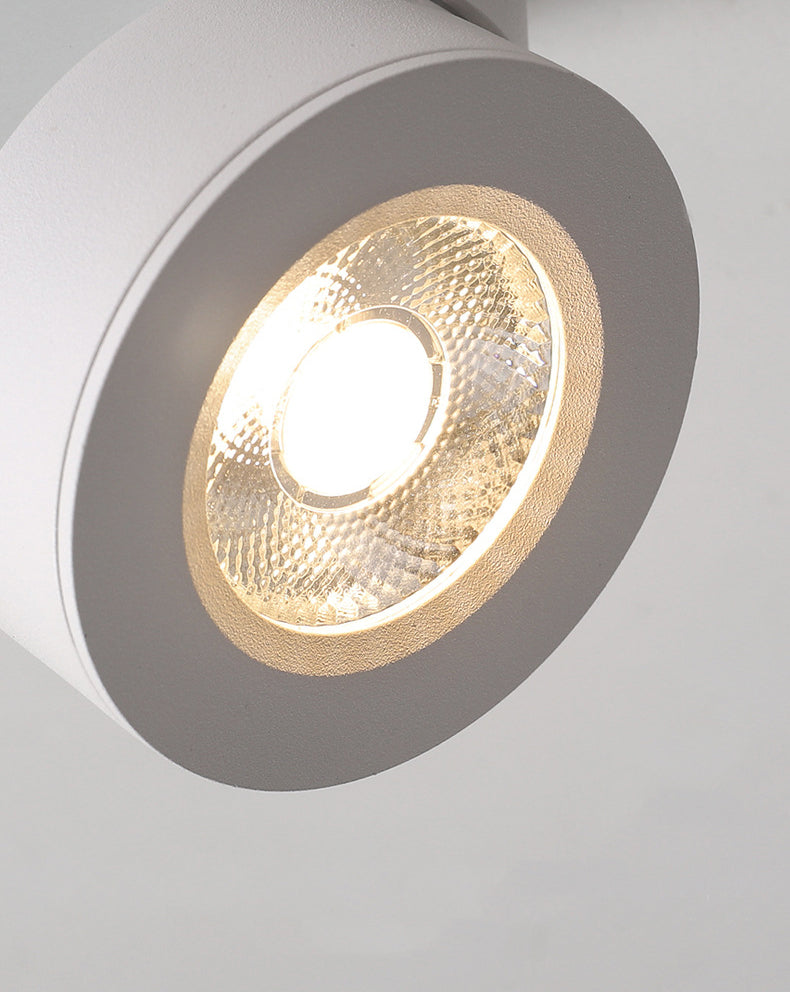 Modern Creative LED Rotatable Ceiling Light Aluminium Cylindrical Flush Mount with Clear Glass Shade