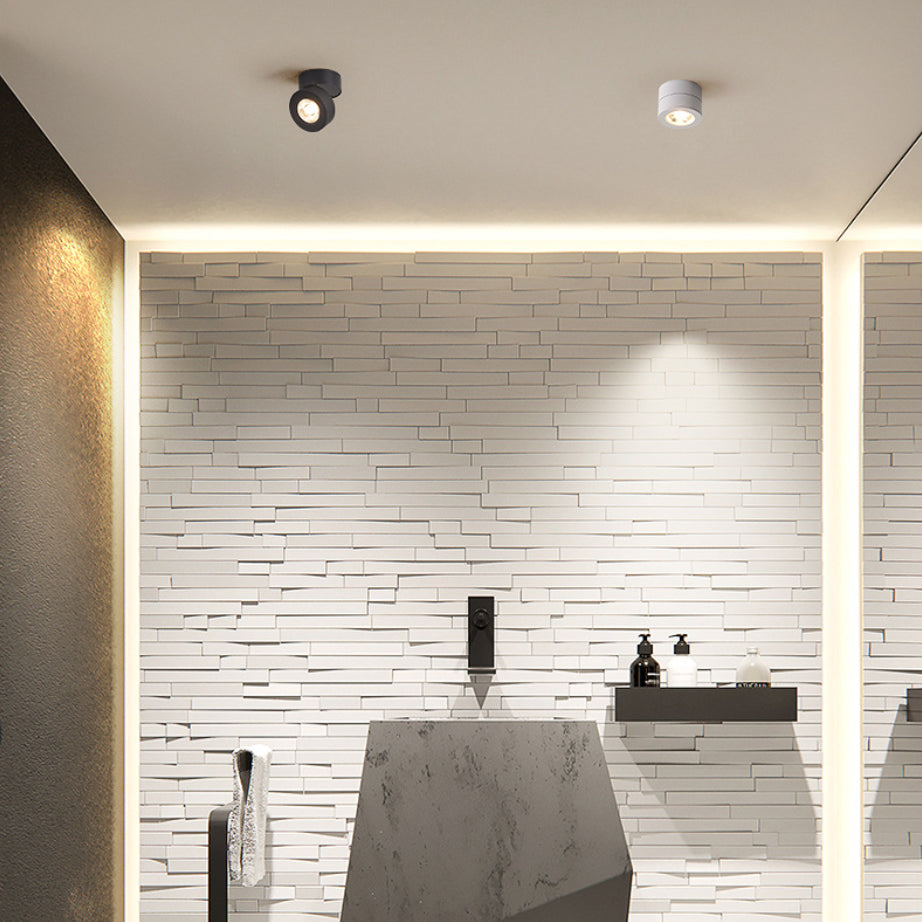 Modern Creative LED Rotatable Ceiling Light Aluminium Cylindrical Flush Mount with Clear Glass Shade