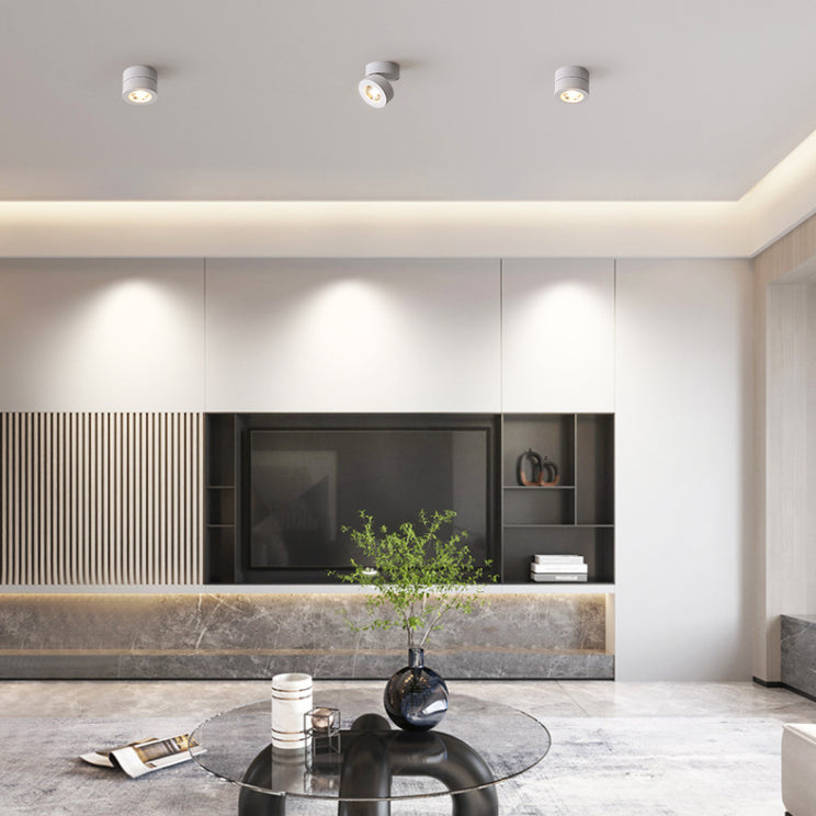 Modern Creative LED Rotatable Ceiling Light Aluminium Cylindrical Flush Mount with Clear Glass Shade