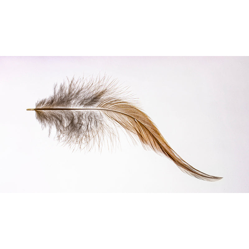 Minimalism Style Feather Wall Mural for Sitting Room Light Color, Personalized Size Available