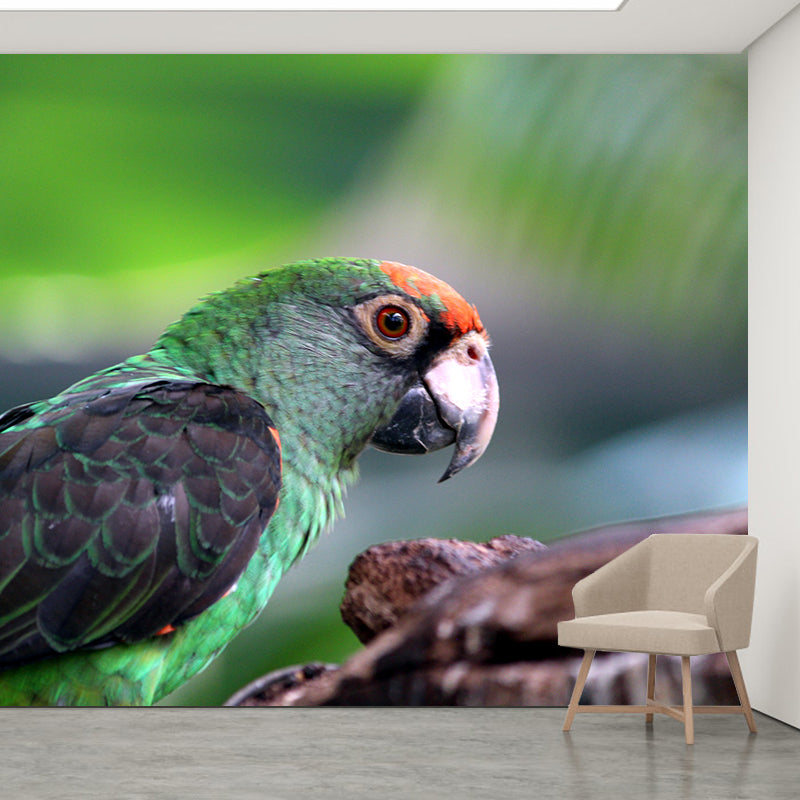 Tropical Cute Parrot Wall Covering for Exhibition Hall Decor, Made to Measure