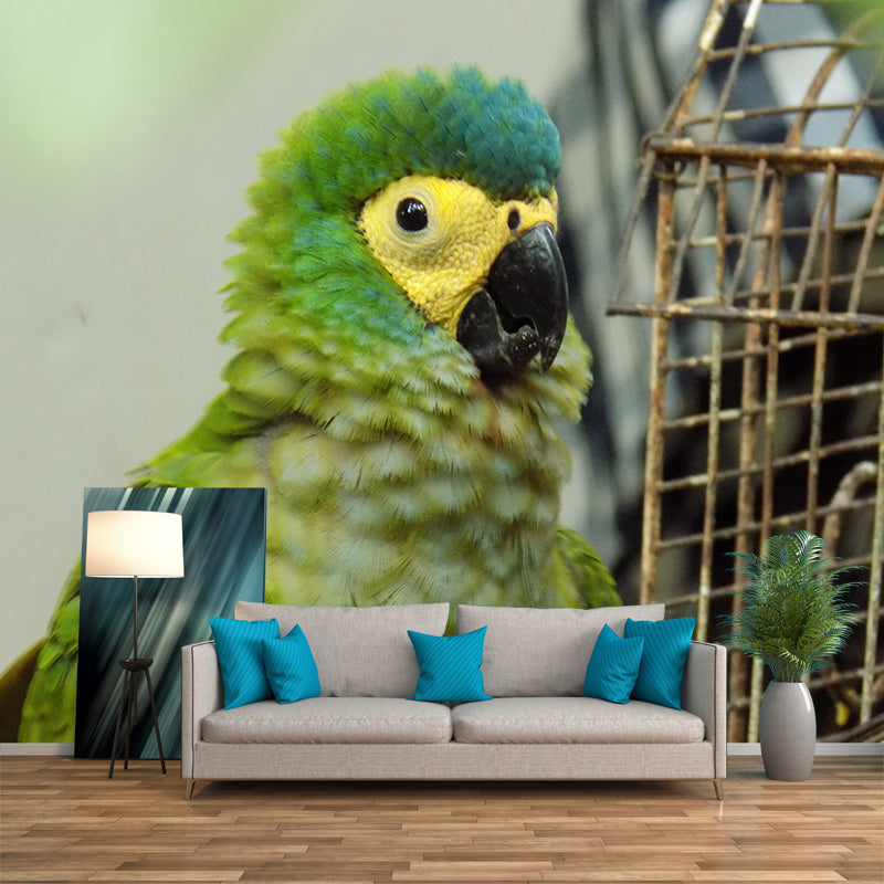 Tropical Cute Parrot Wall Covering for Exhibition Hall Decor, Made to Measure