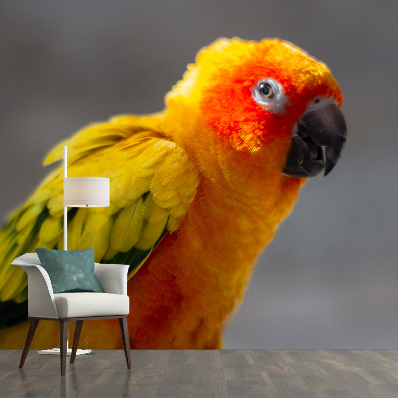 Tropical Cute Parrot Wall Covering for Exhibition Hall Decor, Made to Measure