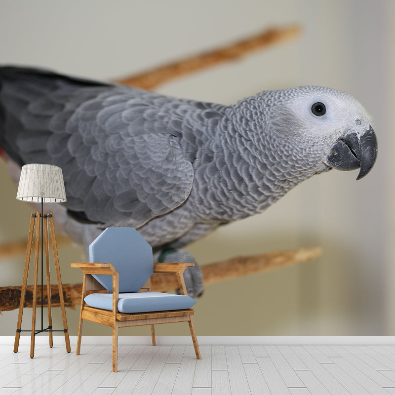 Tropical Animal Parrot Wall Mural Decal Indoor Room Decoration Wall Decor for Exhibition Hall