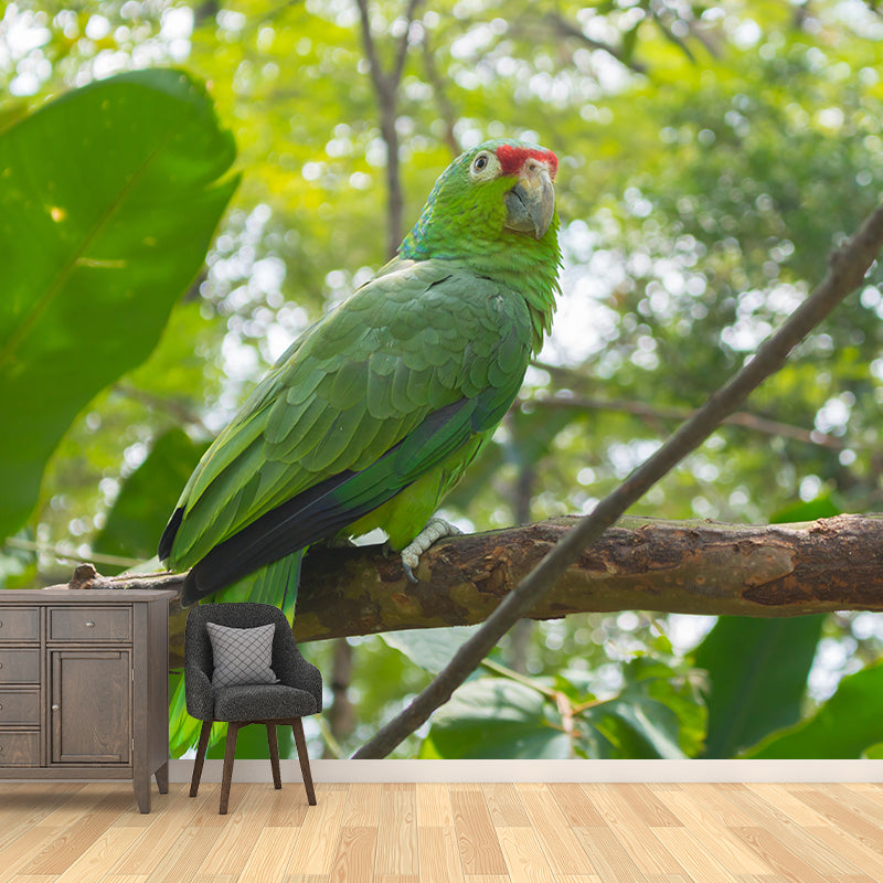 Tropical Animal Parrot Wall Mural Decal Indoor Room Decoration Wall Decor for Exhibition Hall