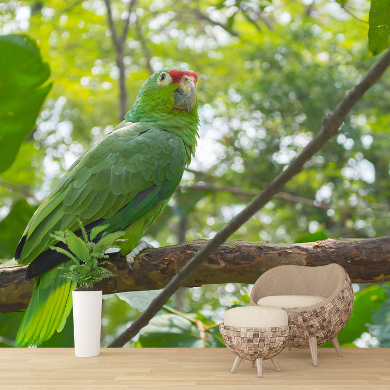 Tropical Animal Parrot Wall Mural Decal Indoor Room Decoration Wall Decor for Exhibition Hall