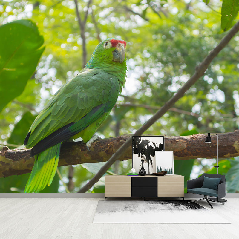 Tropical Animal Parrot Wall Mural Decal Indoor Room Decoration Wall Decor for Exhibition Hall