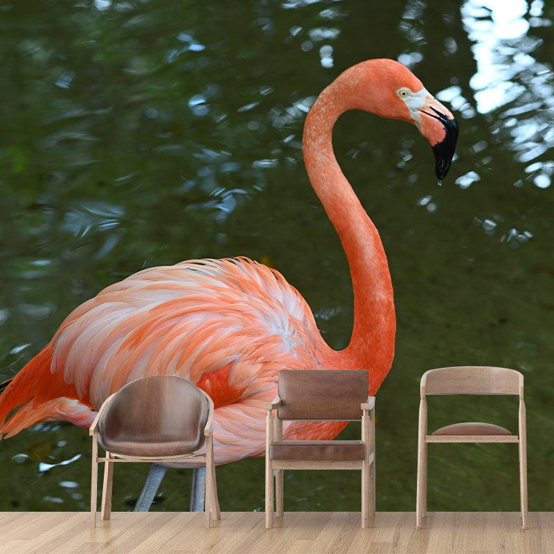 Tropical Style Flamingo Mural Wallpaper for Home Decor Wall Art for Bedroom