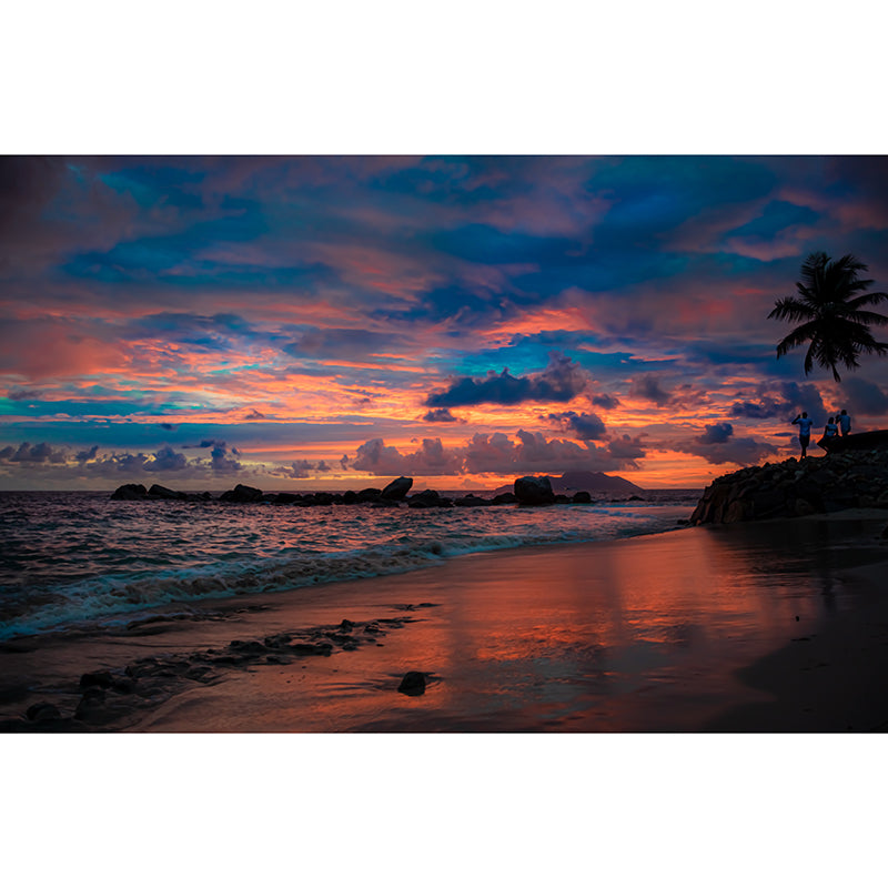 Tropical Beach Shore Vacation Moisture-Resistant Murals, Personalized Size Available