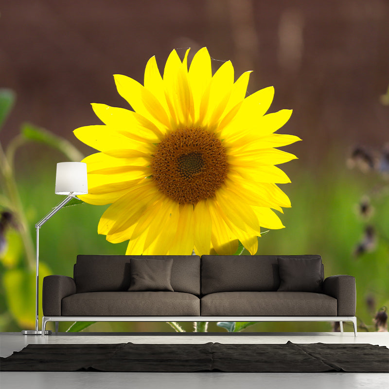 Yellow Blossoming Sunflower Wall Covering for Home Decor Stain Resistant