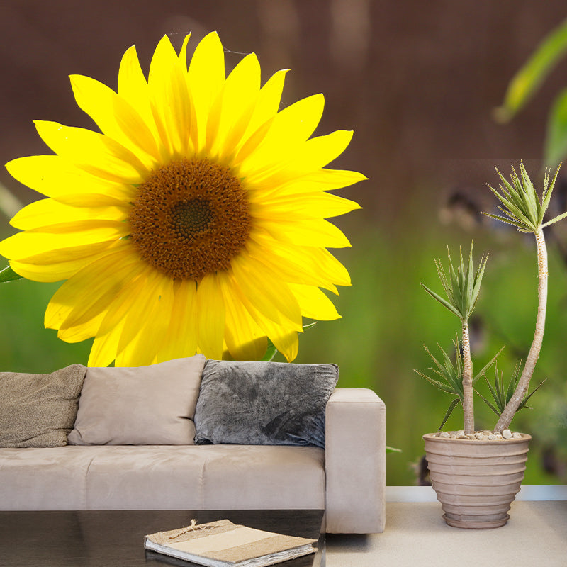 Yellow Blossoming Sunflower Wall Covering for Home Decor Stain Resistant