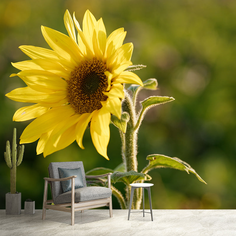 Yellow Blossoming Sunflower Wall Covering for Home Decor Stain Resistant