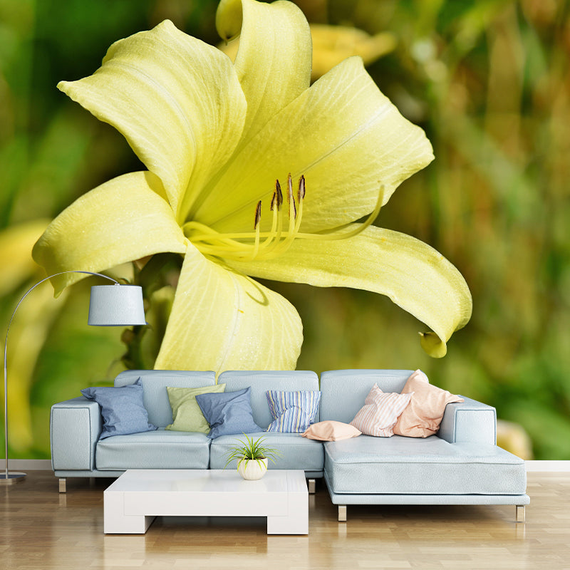 Modern Beautiful Lily Wall Mural Stain Resistant Wall Art for Living Room