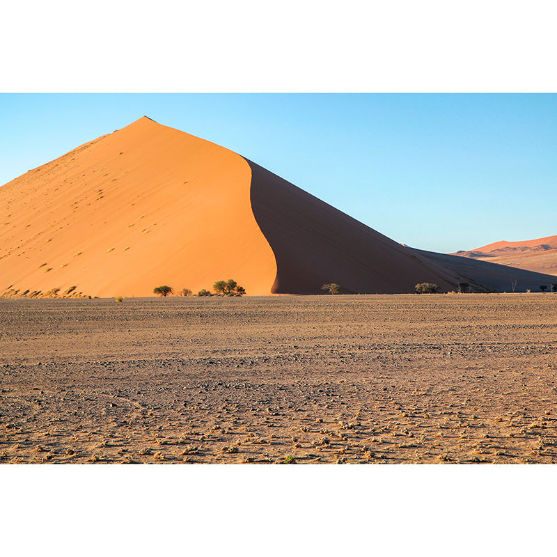 Desert Nature Landscape Modernism Wall Decor for Living Room Moisture Resistant