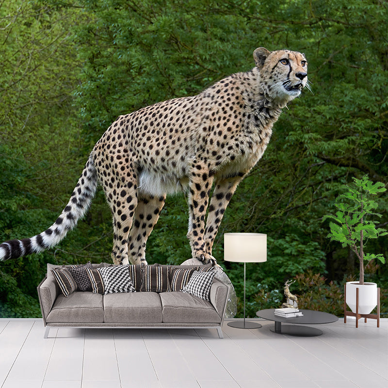 Fierce Cheetah Mural Wallpaper Decorative Contemporary Dining Room Wall Decor