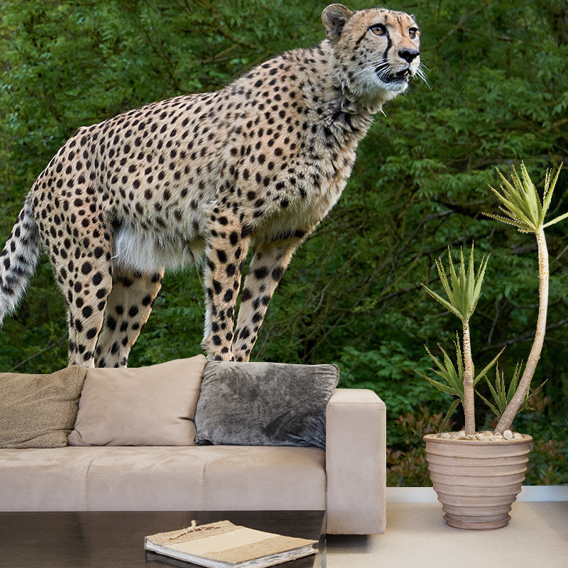Fierce Cheetah Mural Wallpaper Decorative Contemporary Dining Room Wall Decor